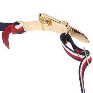 Gucci Sylvie Web Belt with Square Buckle in Blue, White, and Red