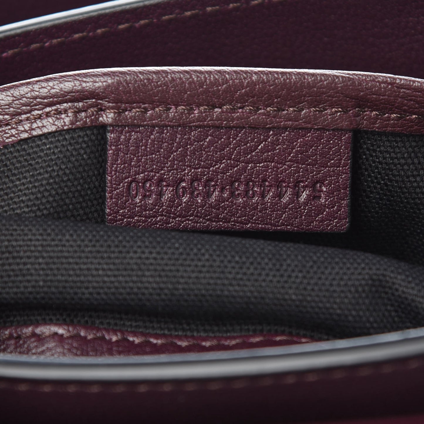 Alexander McQueen Twin Skull Chain Crossbody in Burgundy