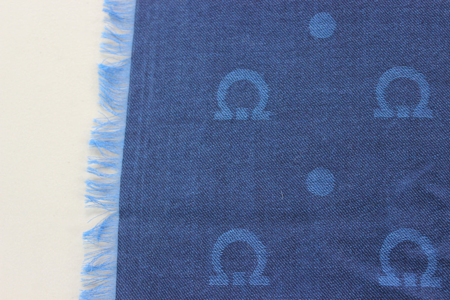 Salvatore Ferragamo Scarf in Gancini Blue